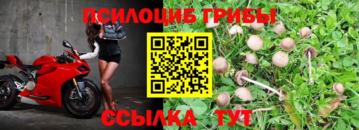 Краснокамск  Галлюциногенные грибы MAGIC MUSHROOMS  Вход с VPN 